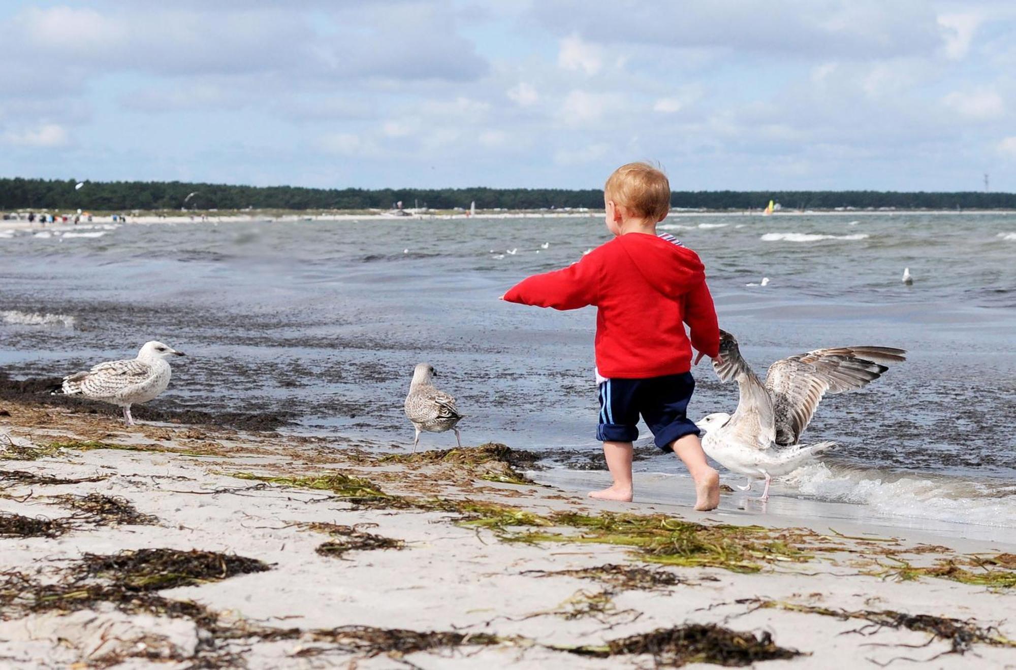 Kleine Freiheit An Der Seebruecke Zingst Luaran gambar