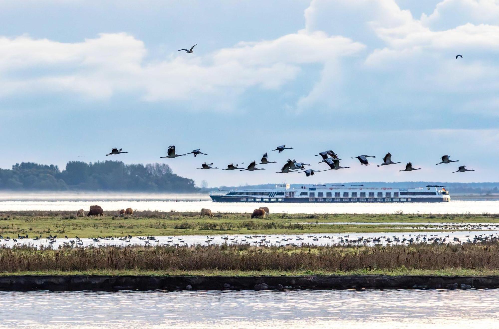 Kleine Freiheit An Der Seebruecke Zingst Luaran gambar